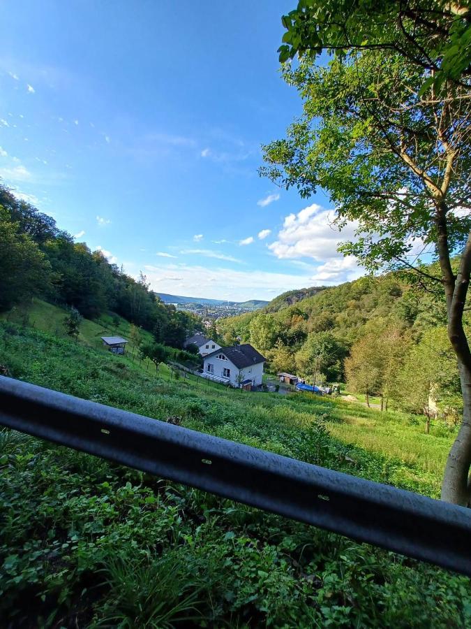 Ferienwohnung Neli Am Rhein Rheinbrohl Buitenkant foto