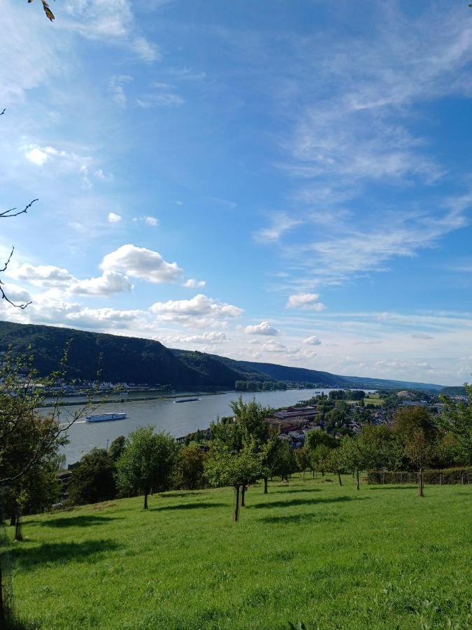 Ferienwohnung Neli Am Rhein Rheinbrohl Buitenkant foto