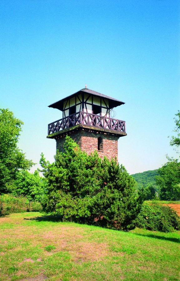 Ferienwohnung Neli Am Rhein Rheinbrohl Buitenkant foto