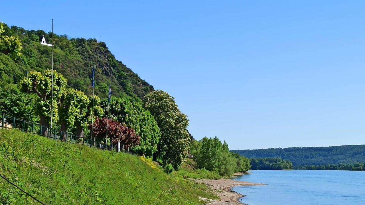 Ferienwohnung Neli Am Rhein Rheinbrohl Buitenkant foto