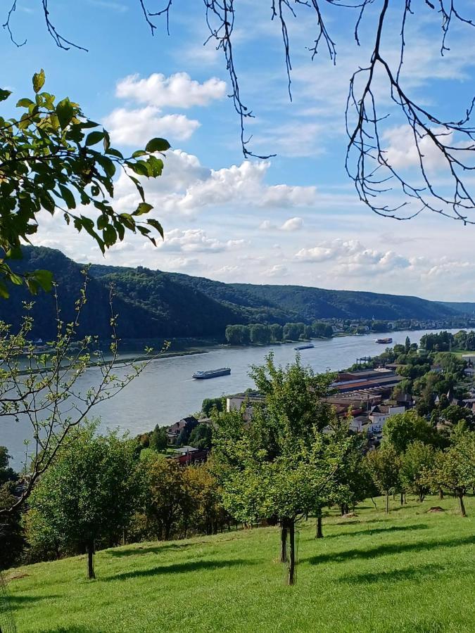 Ferienwohnung Neli Am Rhein Rheinbrohl Buitenkant foto